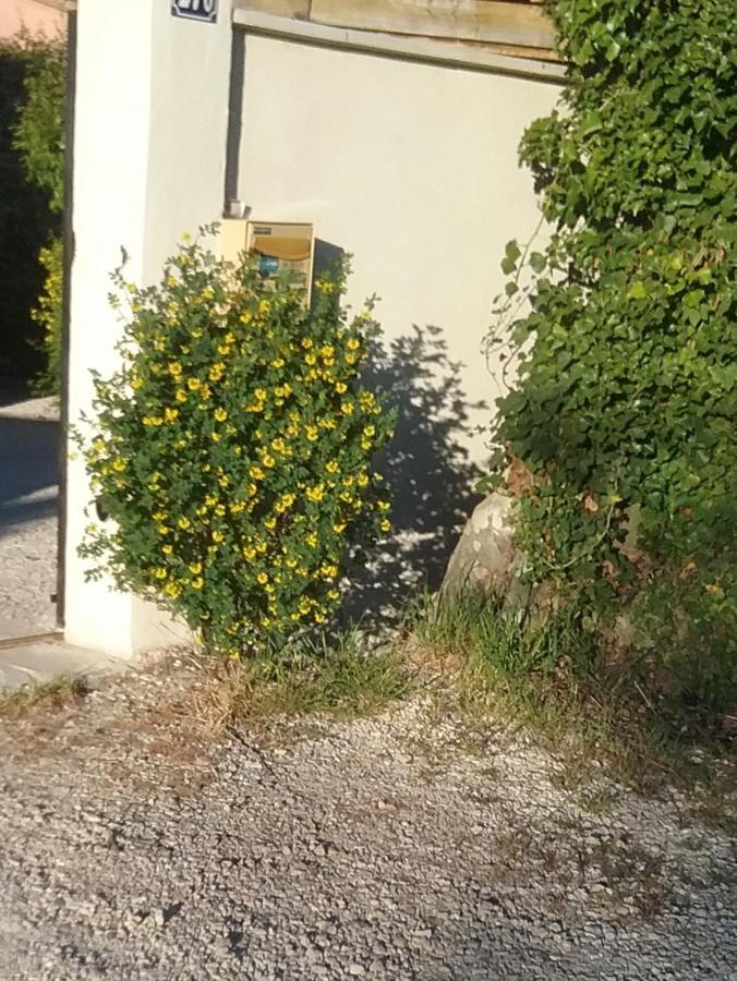 Une Chambre En Ville LʼIsle-sur-la-Sorgue Extérieur photo